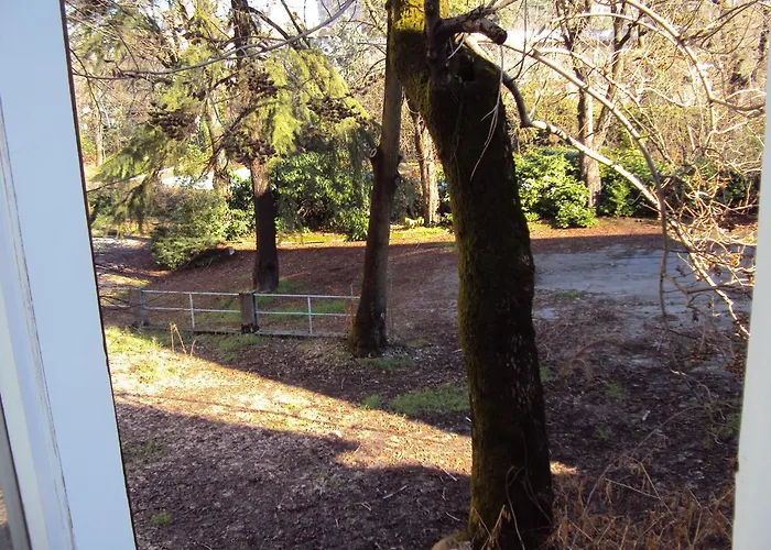 Hotel La Salsesina 2*